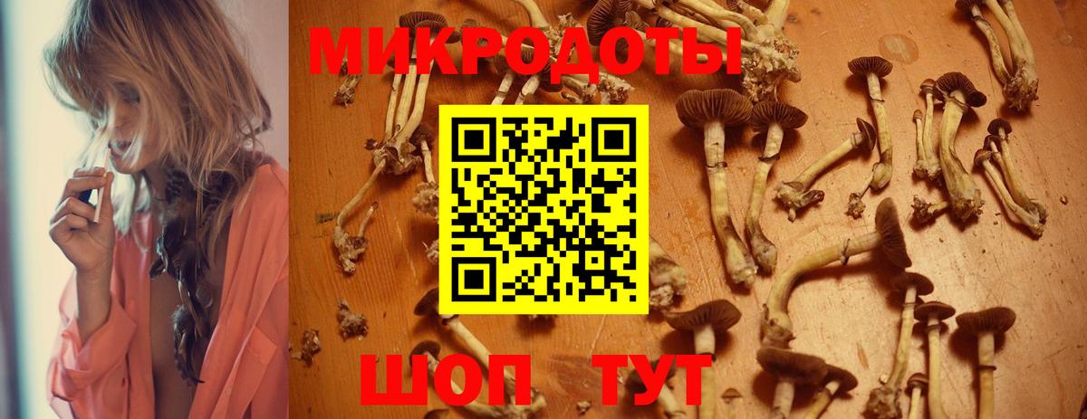 Галлюциногенные грибы Psilocybine cubensis  Вход с VPN  Славгород 