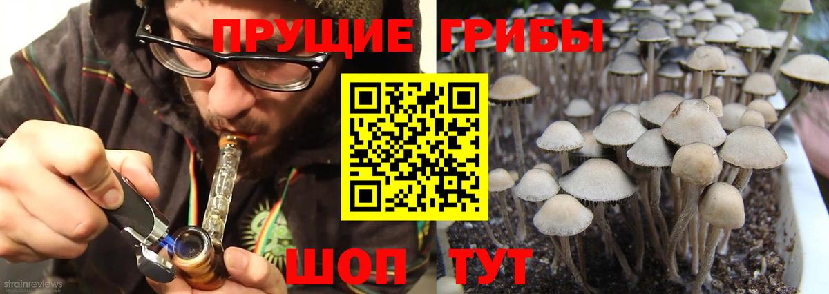 Псилоцибиновые грибы мухоморы Славгород