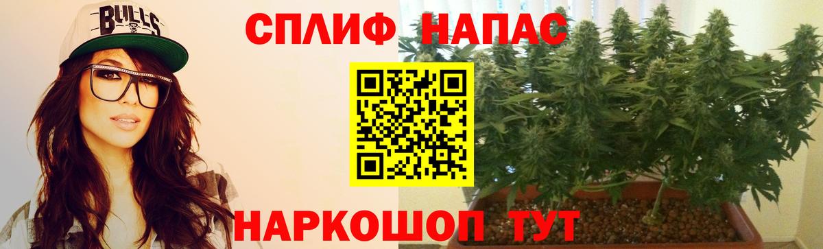 Бошки Шишки White Widow  Вход с VPN  Канабис марихуана  Славгород  Канабис индика  Канабис планчик 